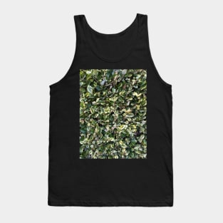 Box Tank Top